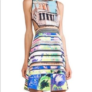 Clover canyon acropolis garden cutout dress